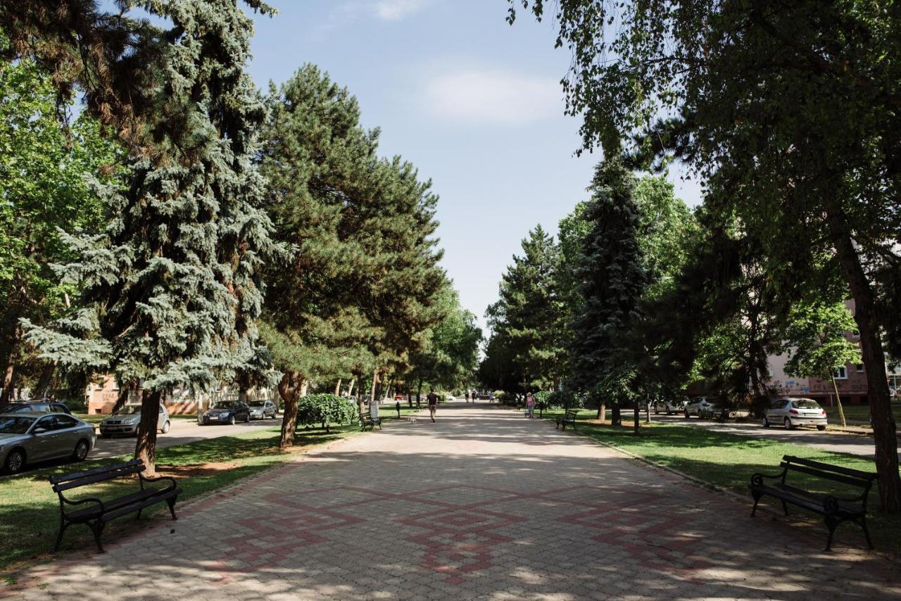 Dill Apartment Subotica Dış mekan fotoğraf