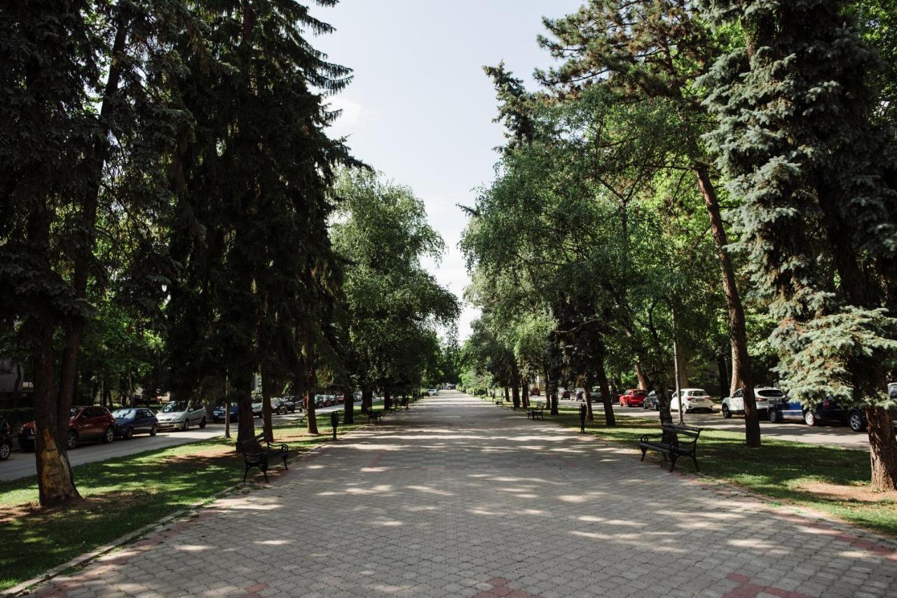 Dill Apartment Subotica Dış mekan fotoğraf