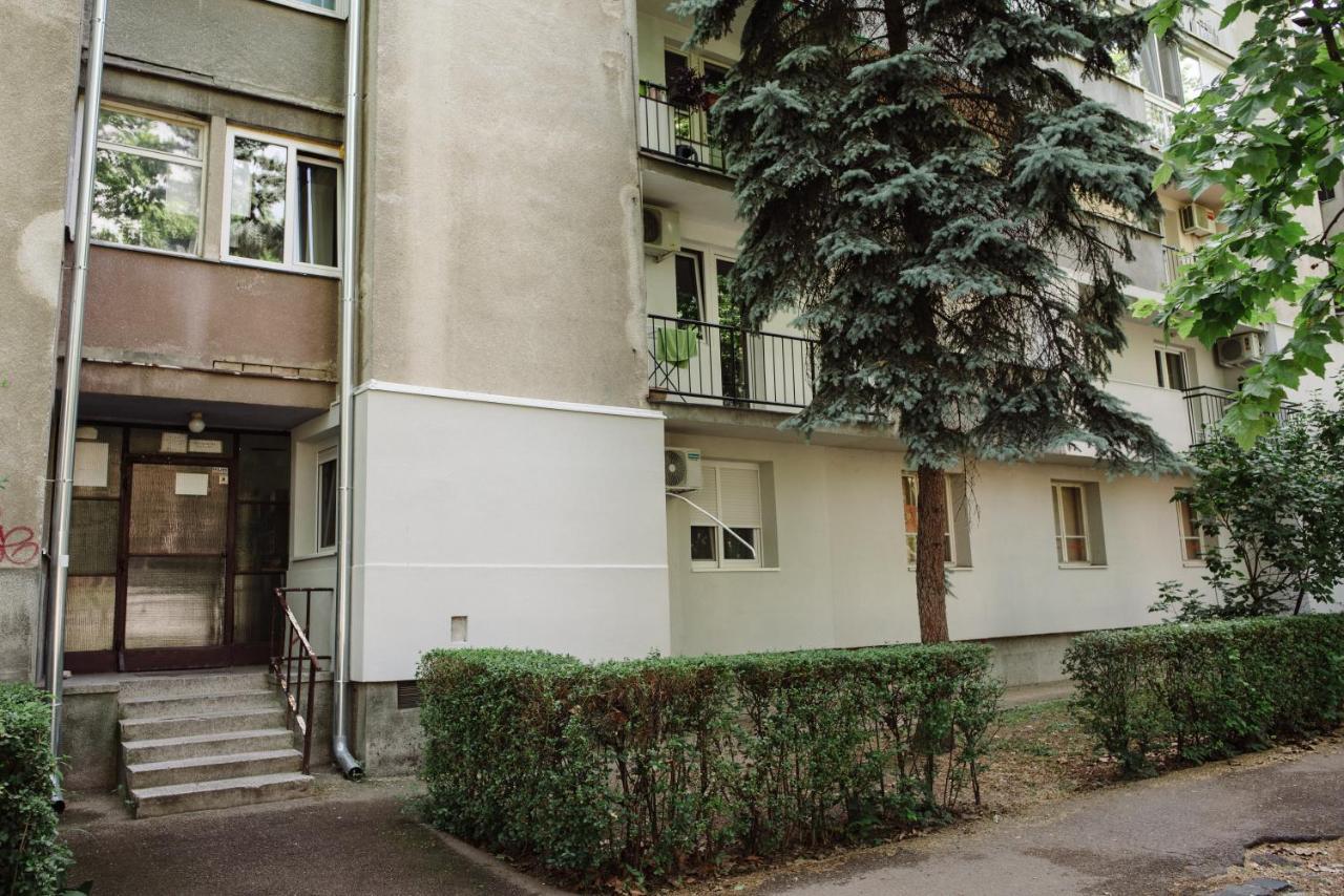 Dill Apartment Subotica Dış mekan fotoğraf